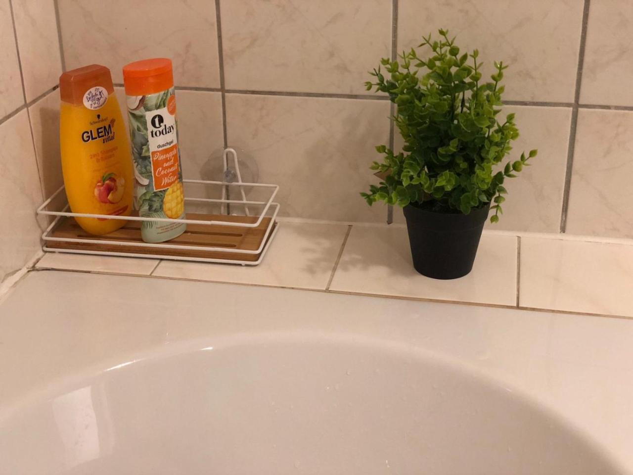 Apartment Angeligasse 비엔나 외부 사진